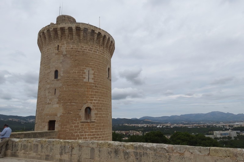 Tower of Castle