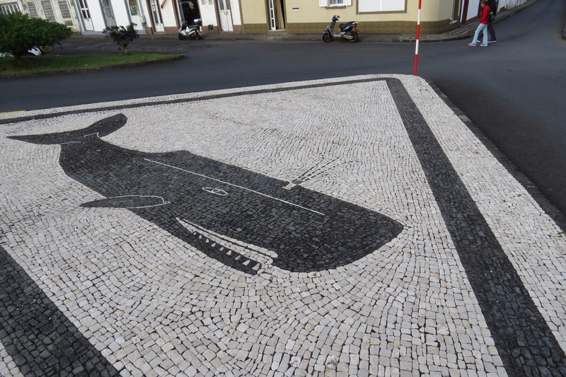 Whale mosaic along walkways