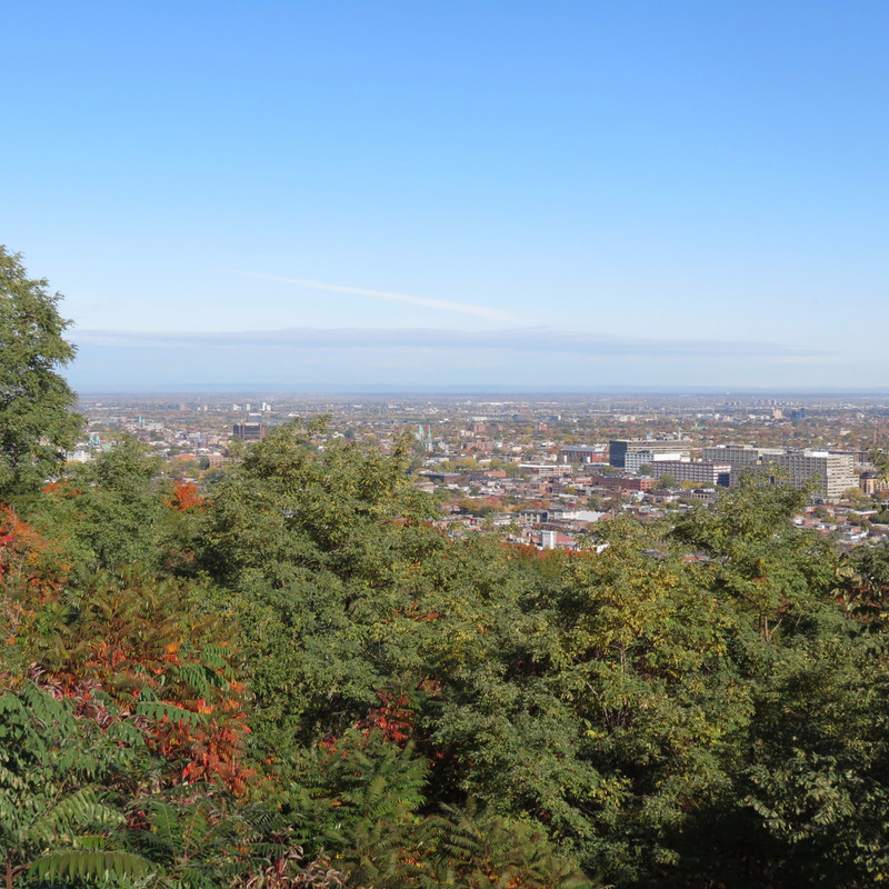 View of Montreal from Mount Royale