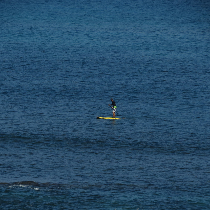View of Paddle boarder from Balcony