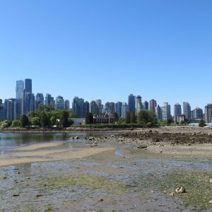 View of Downtown from Stanley Park