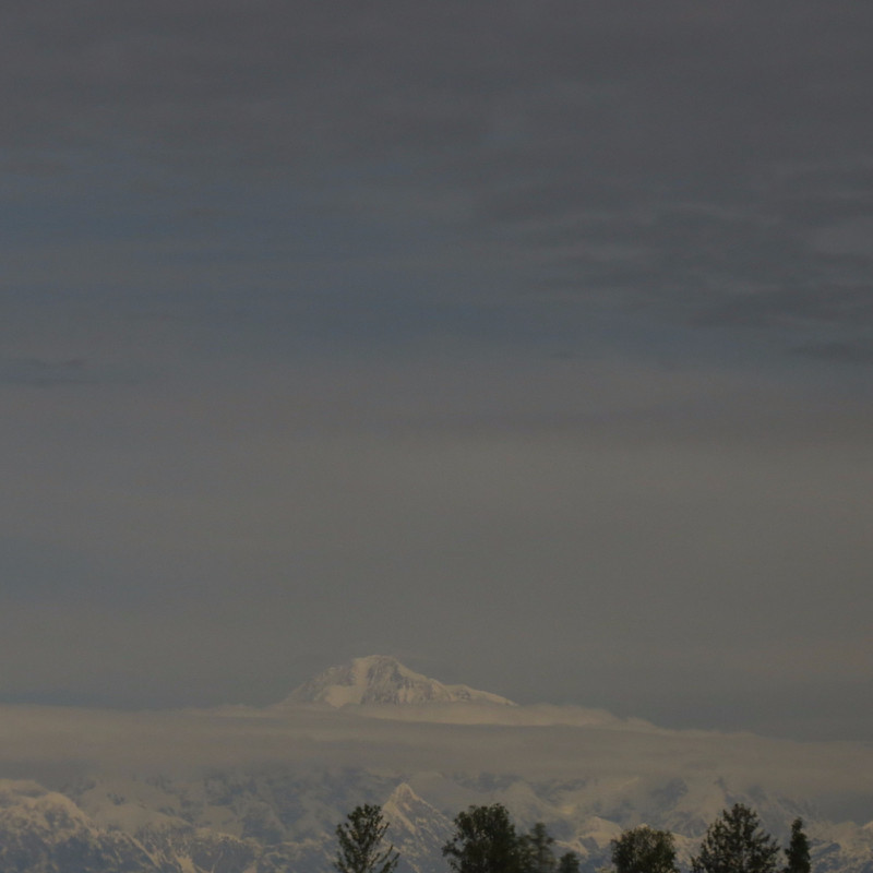 View of Denali from the Train