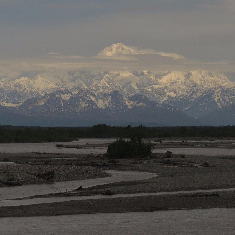 View of Denali from the Train