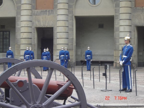 El Palacio Real y su guardia
