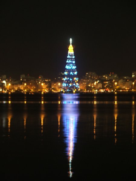 christmas tree in the middle of the Lagoa (a lake) in Rio