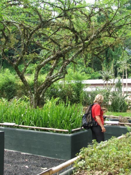 Rio Botanical Garden -  checking out the expositions
