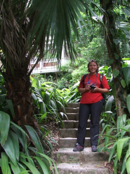 Rio Botanical Garden - nice shady walk