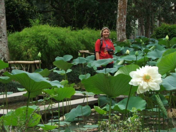Rio Botanical Garden - Chinese Garden exposition