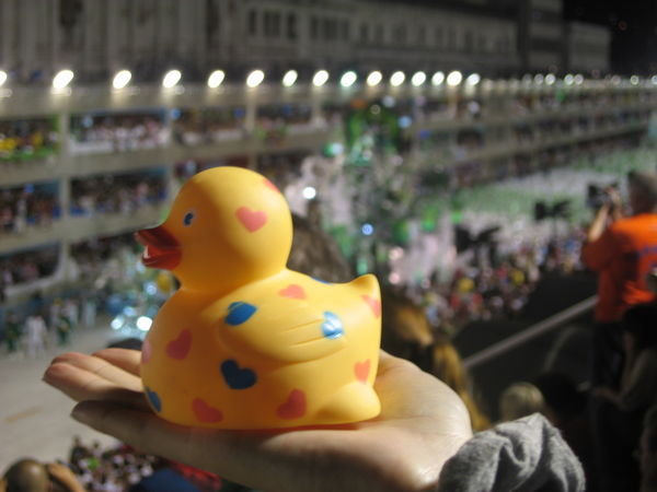 Duck in the Rio Carnival