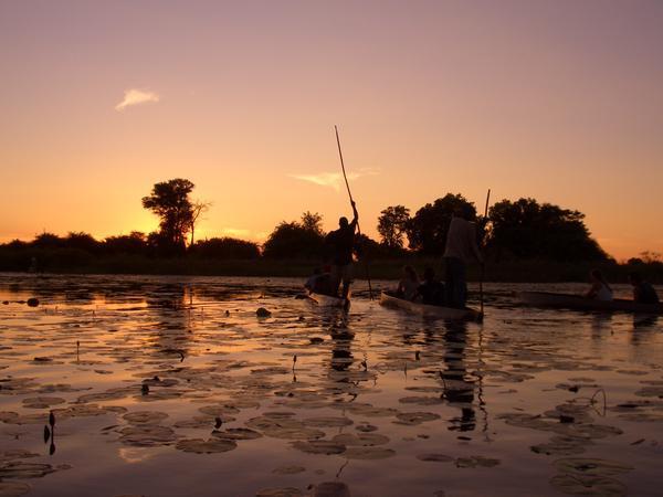Okavango Delta by sunset