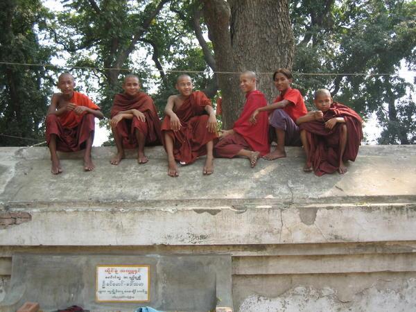 Monk Life