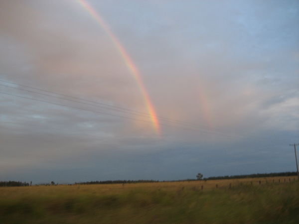 rainbows on the drive