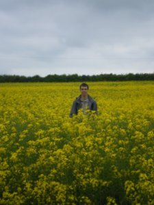 Joel dans le champ jaune