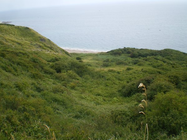 Coast Path 8