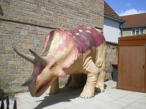 Musée du dinosaure