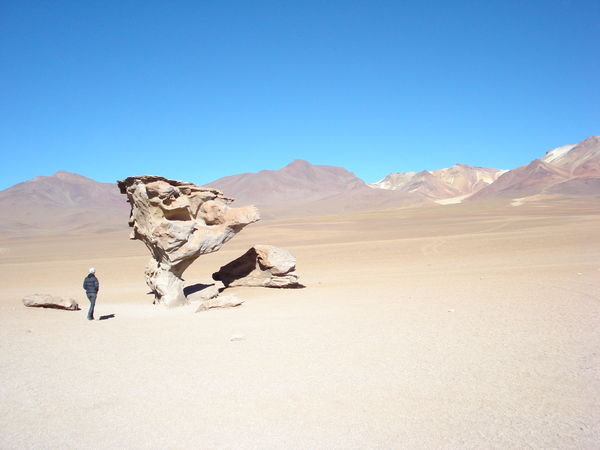The Stone Tree - Atacama Desert