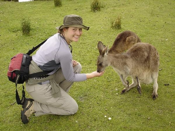 Ness and the Kangaroos
