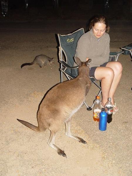 At night on Kangaroo Island