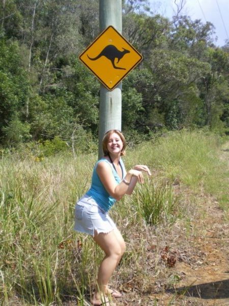 Kangaroo spotting