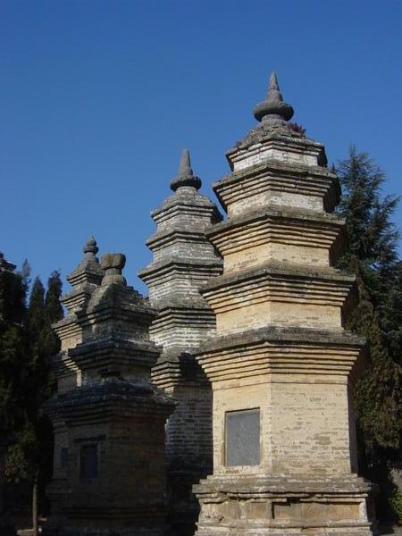 Pagoda forest