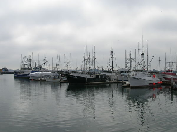 Tuna Fleet