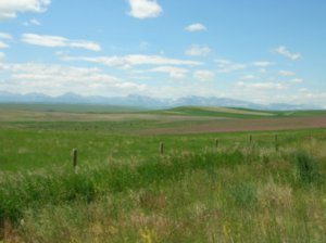 Montana plains