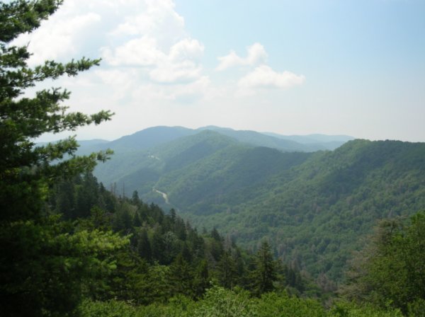 View from Newfound Gap
