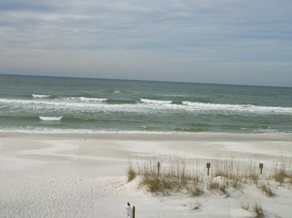 Gulf of Mexico surf