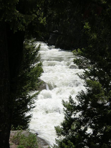 Lamar River Cascades
