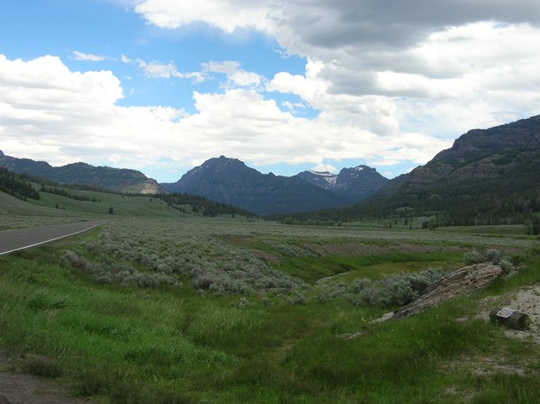 Lamar Valley view