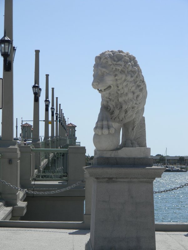 One of the lions