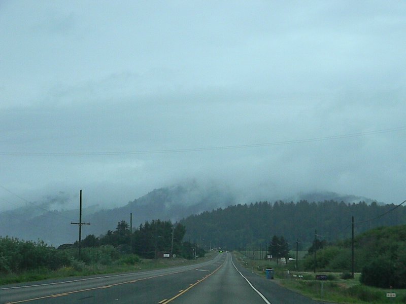 Low Clouds