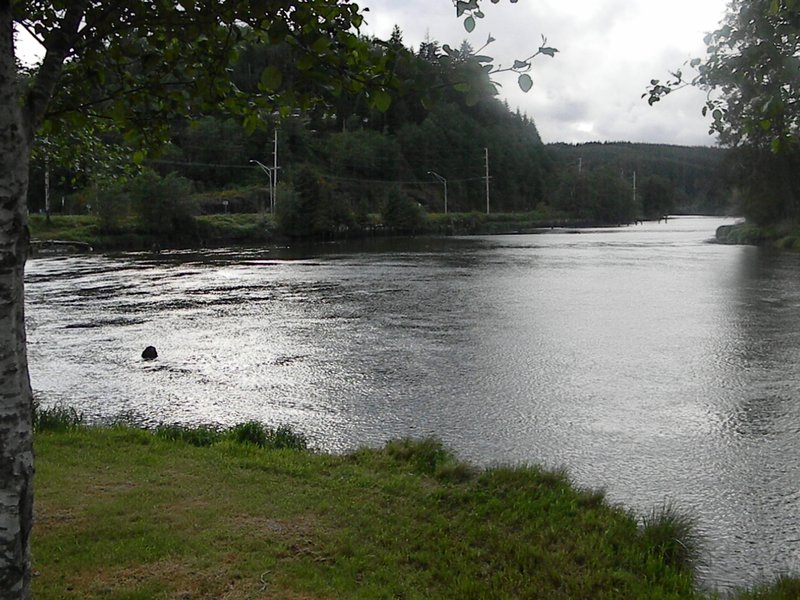 Hoquiam River