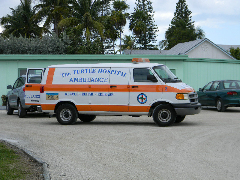 Turtle Hospital Ambulance