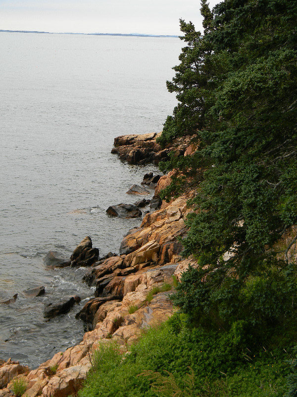 Cliffs by Bass Harbor Head