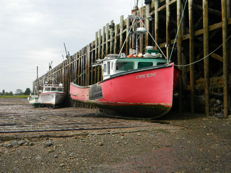 Lobster boats at low tide