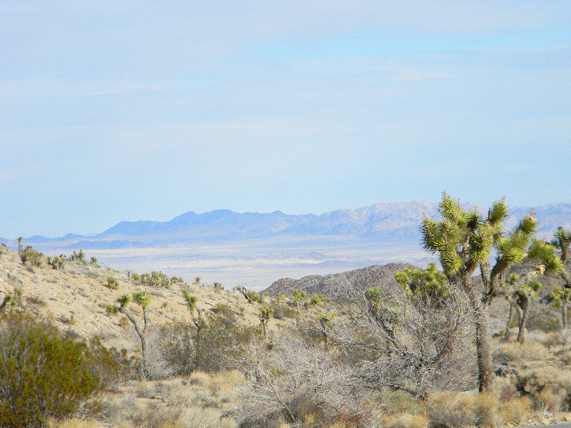 Looking north past 29 Palms