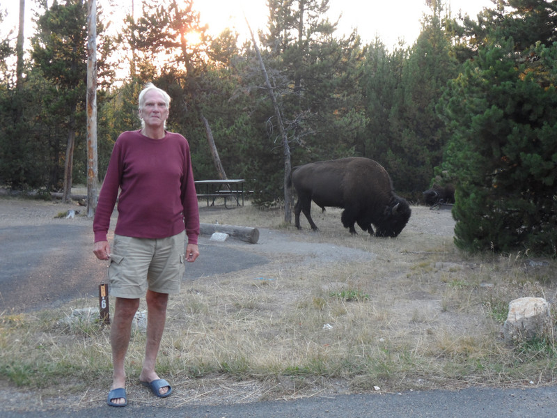 Yellowstone NP