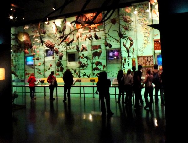 Biodiversity Exhibition