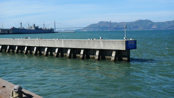 View from Pier 39