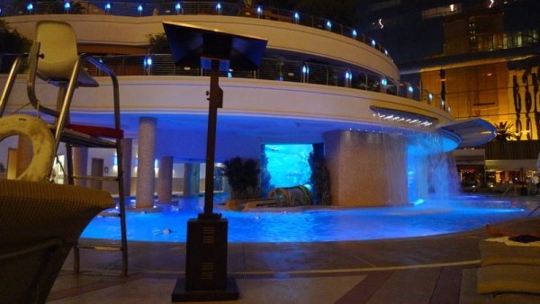 The shark tank at the Golden Nugget 