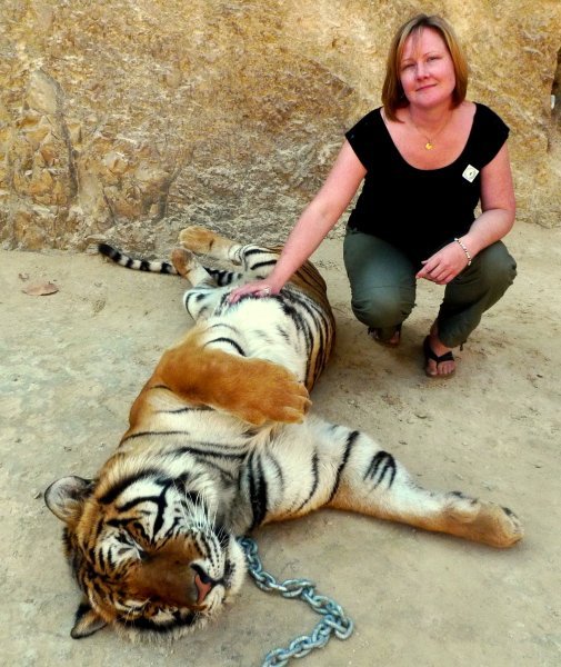 Pam & a dead/sleepy tiger