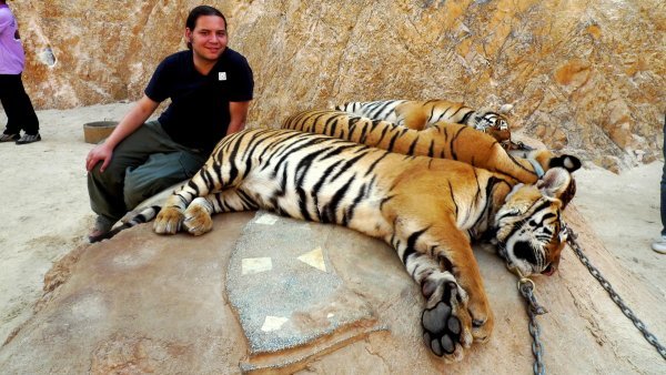 Me with dead/sleeping tigers