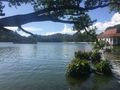 Lakeside tranquillity Kandy 