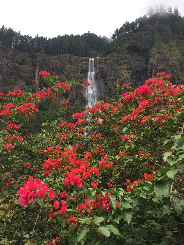 Waterfalls and flowers everywhere