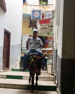 no cars, just donkeys
