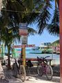 Caye Caulker the painting