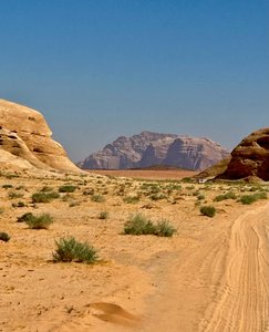 Never a boring view in Wadi Rum