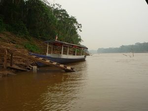 tambopata river pickup