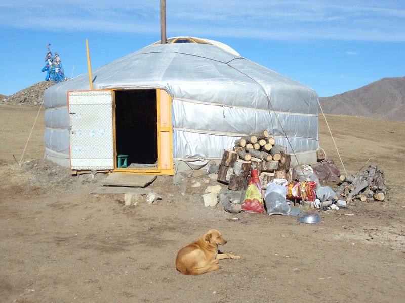 Ulaanbaatar Dog in a Doorway